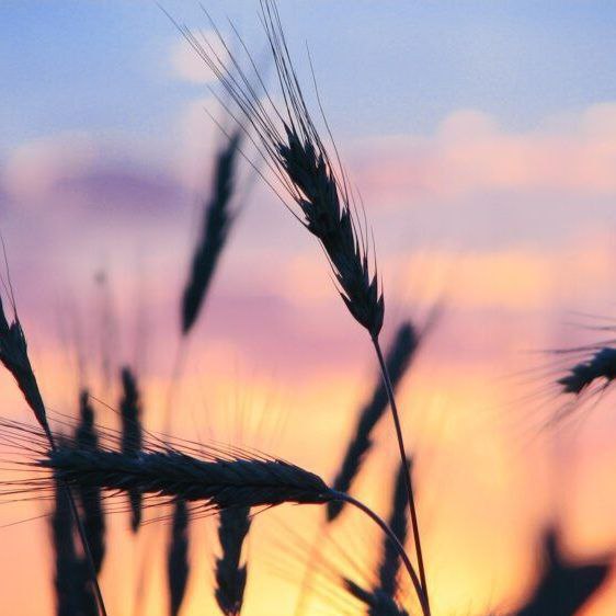 آهنگ جدید قرص ماه - ترند اینستایی